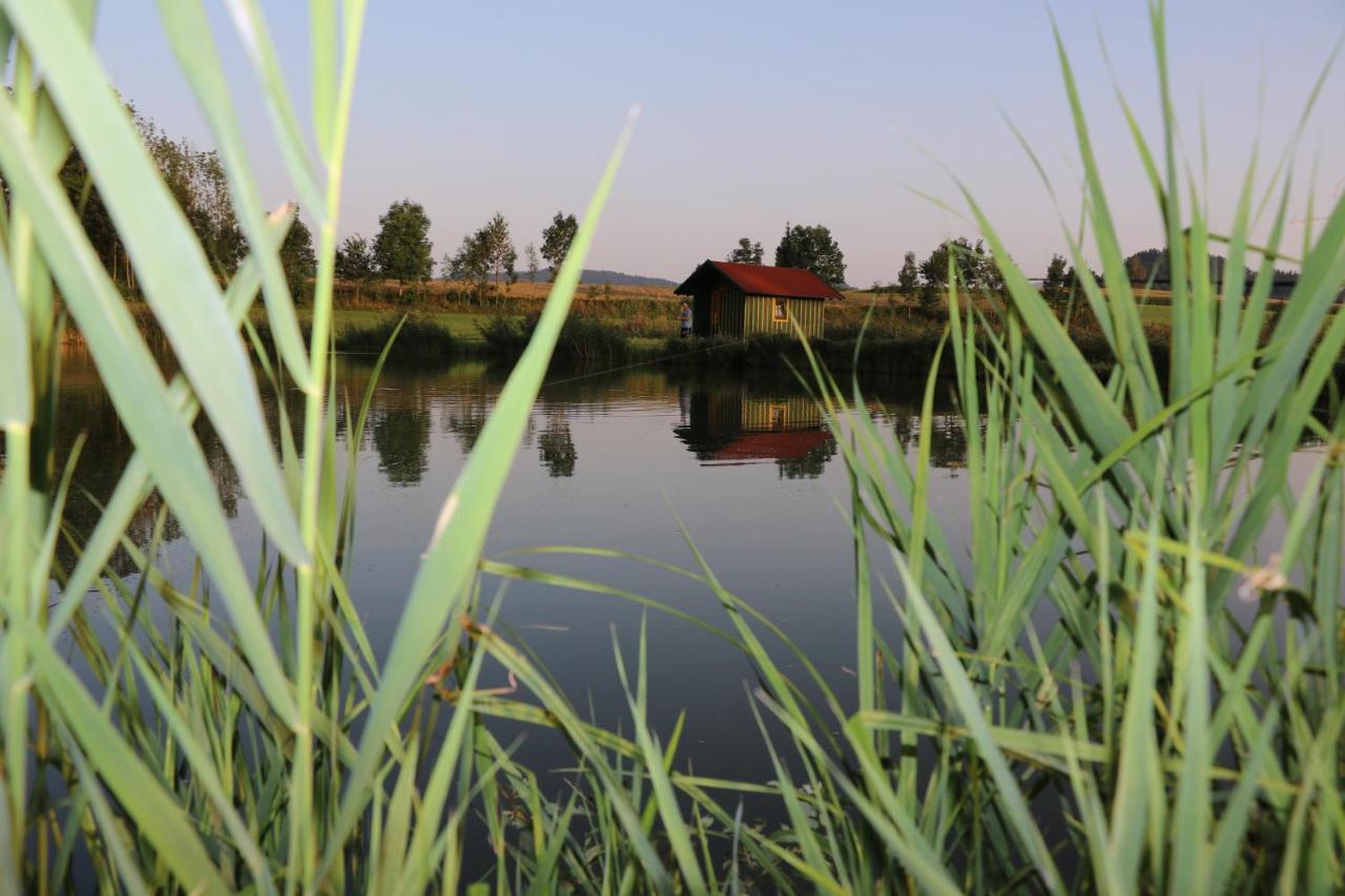 Stadl-Ferienwohnung Sankt Georgen am Langsee Bagian luar foto